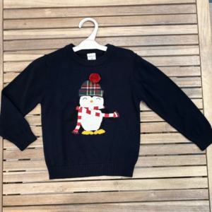 SUÉTER PINGUIM ATIVO